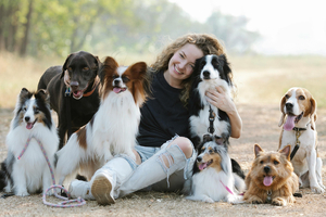Pet mycoprotein nutraceutical boosts gut health in dogs, study reveals