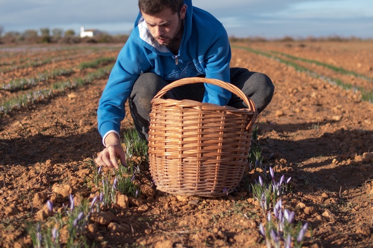 Pharmactive introduces green production process
