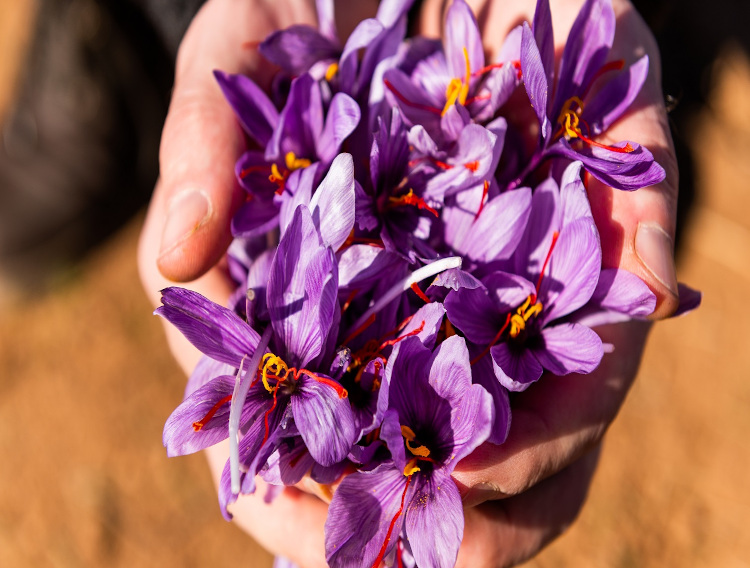 Pharmactive saffron extract awarded US patent for mood benefits