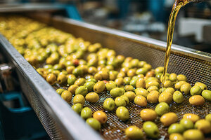 PhenOlives secures strategic investment and appoints former Nestlé Israel CEO Itzik Saig as chairman
