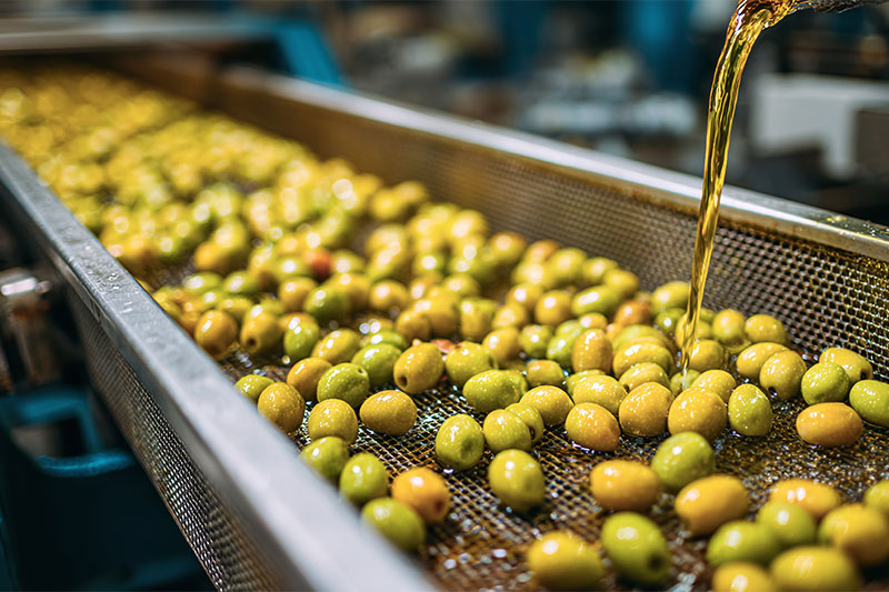 PhenOlives secures strategic investment and appoints former Nestlé Israel CEO Itzik Saig as chairman