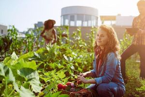 Plant-based foods lead ethical purchase decisions