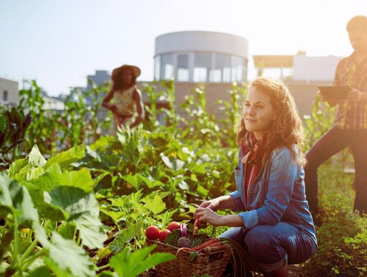 Plant-based foods lead ethical purchase decisions