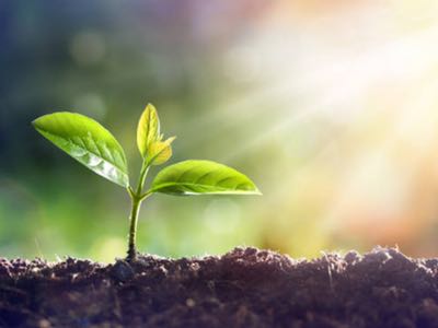 Plant-based ingredient supplier POS Bio-Sciences rebrands