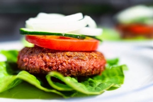 Planteneers opens US office for plant-based products