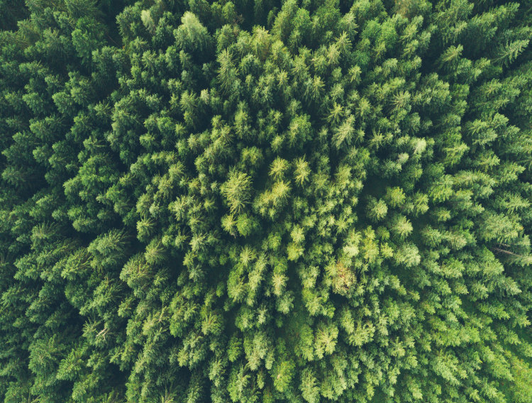 PLT achieves carbon neutral certification