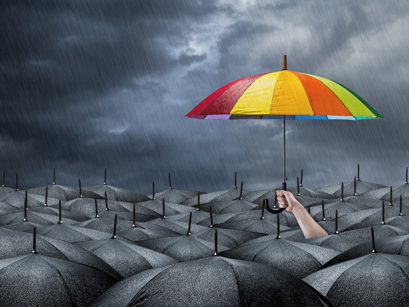 PLT launches novel ingredient for immune health