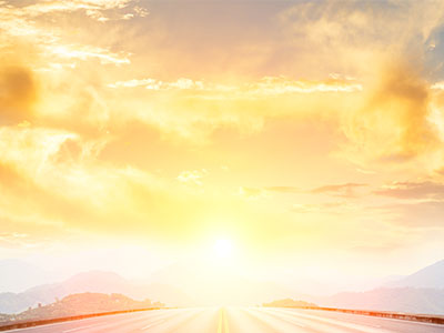 PLT offers new source of vitamin D 