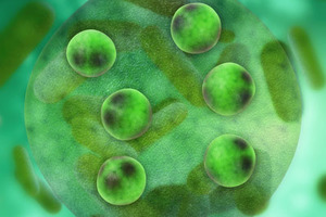 Polaris introduces the ultra-stable, green omega-3 oil of the future