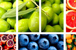 Polyphenols: a new grade of Oxxynea with clinical study and proven bioavailability

