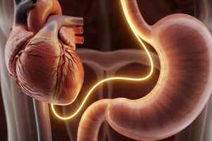 Poor gut health raises risk of early death or rehospitalisation in heart failure patients, study finds