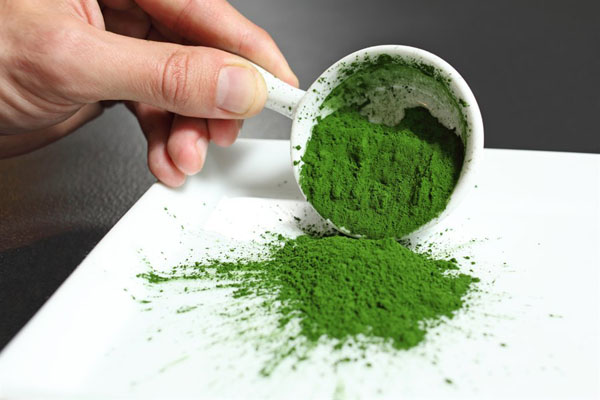 Portuguese Allmicroalgae to produce organic certified Chlorella vulgaris