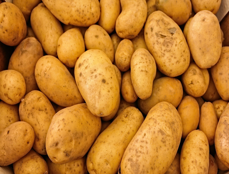 Potato protein may offer alternative to whey protein shakes
