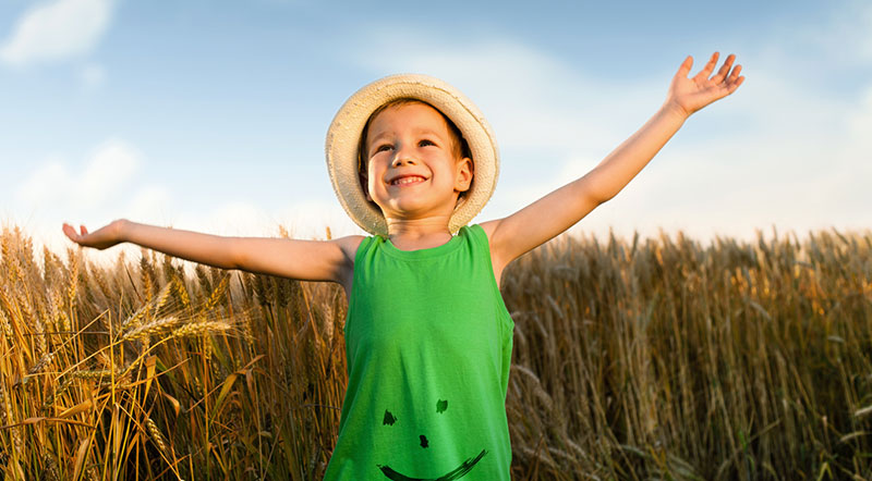 Prebiotic chicory root fibre maintains microbiota balance in children 
