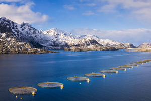 Prinova Europe and Hofseth BioCare showcase potential of salmon protein hydrolysate