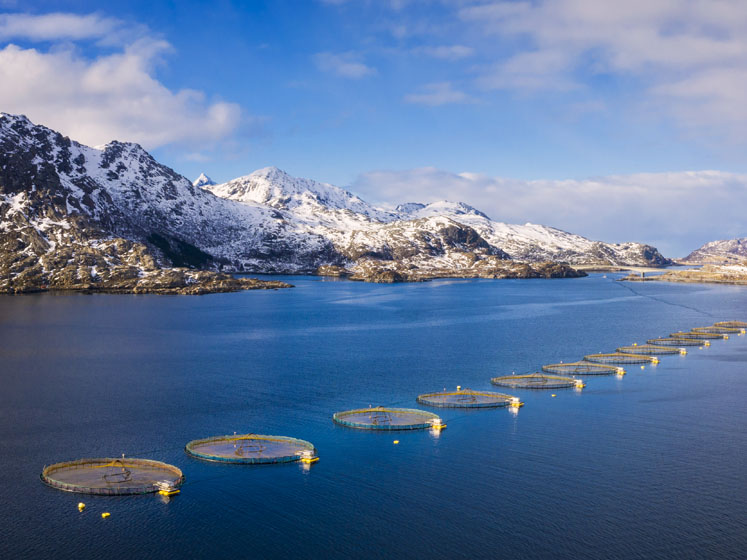 Prinova Europe and Hofseth BioCare showcase potential of salmon protein hydrolysate
