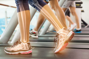 Probi enters the bone health area