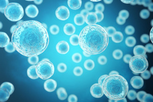 Probi signs long-term agreement with Cilag, a Johnson & Johnson company, to develop a probiotic product