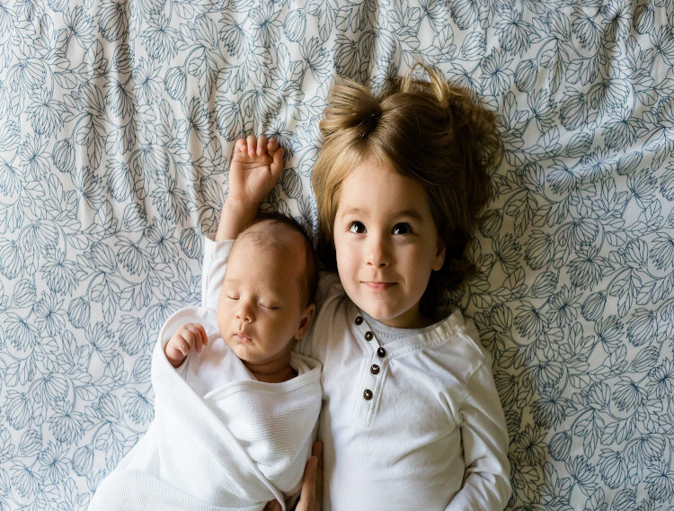 Probiotic supplementation may reduce morbidity in premature infants