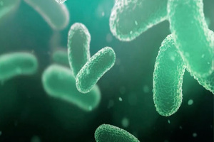 ProBiotix probiotic strain reduces heart disease biomarkers