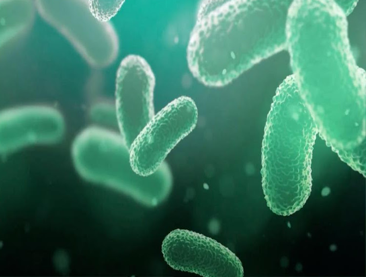 ProBiotix probiotic strain reduces heart disease biomarkers