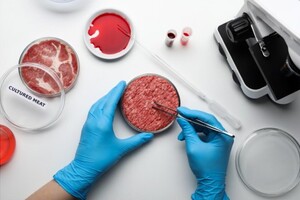 Products for sustainable food development