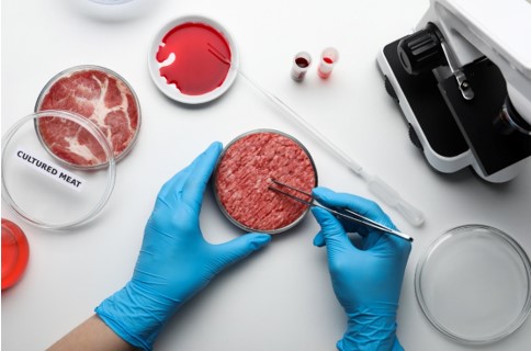 Products for sustainable food development