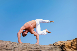Promino Nutritional Sciences partners with iHerb to distribute protein ingredients