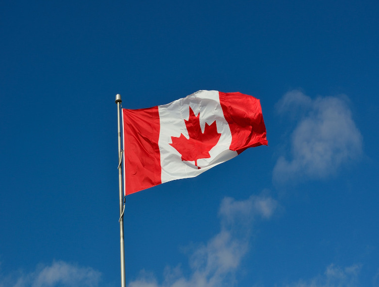 Protein Industries Canada invests in plant-based food project
