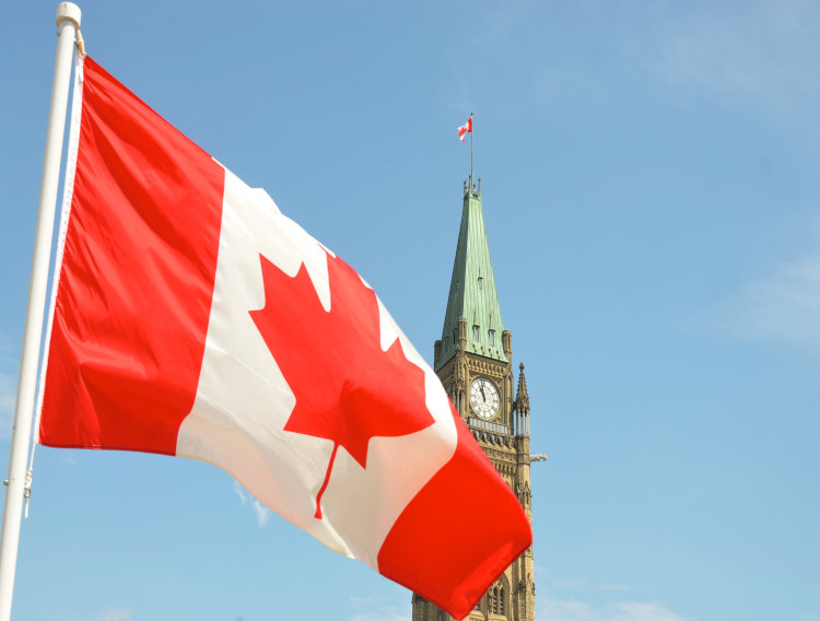 Protein industry partnership to cultivate lupin in Canada