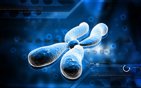 Proteomics at Expo 2015: food and health