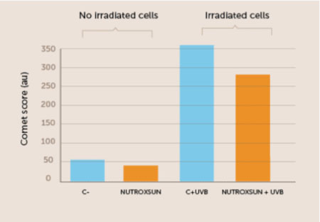 Figure 3. In this in vitro study NutroxSun significantly reduced  DNA breakage, as measured using a standard technique called a Comet assay, which enables researchers to visualise how many DNA fragments are generated in cells exposed to UV radiation.