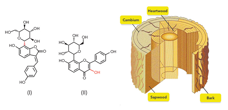 Figure 1: Chemical structures of Pterocarposide (I) and Sabioside (II)