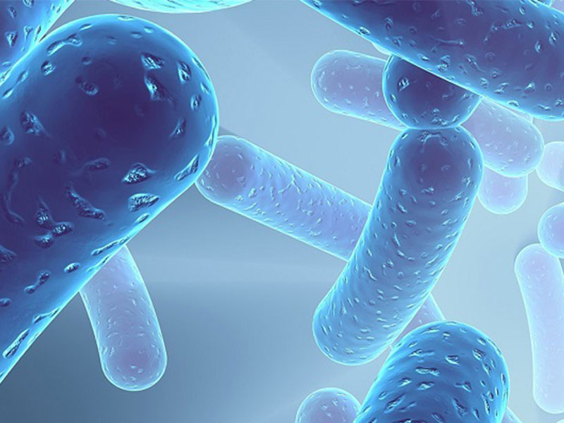 Published study reaffirms function and survival of Sabinsa’s LactoSpore

