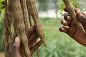 Putting the spotlight on sustainability
