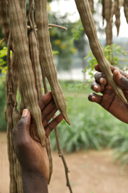 Putting the spotlight on sustainability