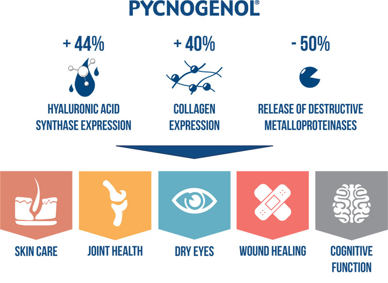 Pycnogenol: a powerful extracellular matrix activator for skin, joint, eye care and more (part I)