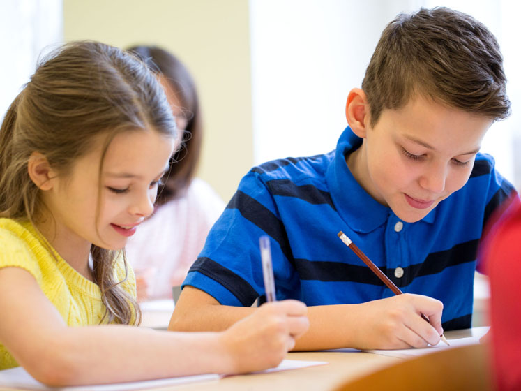 Pycnogenol for cognitive function in children and healthy adults