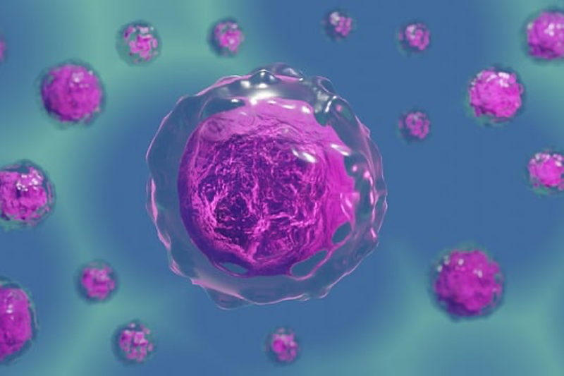 Qualia Life Sciences' NAD supplement raises NAD+ levels by up to 67%, study reveals