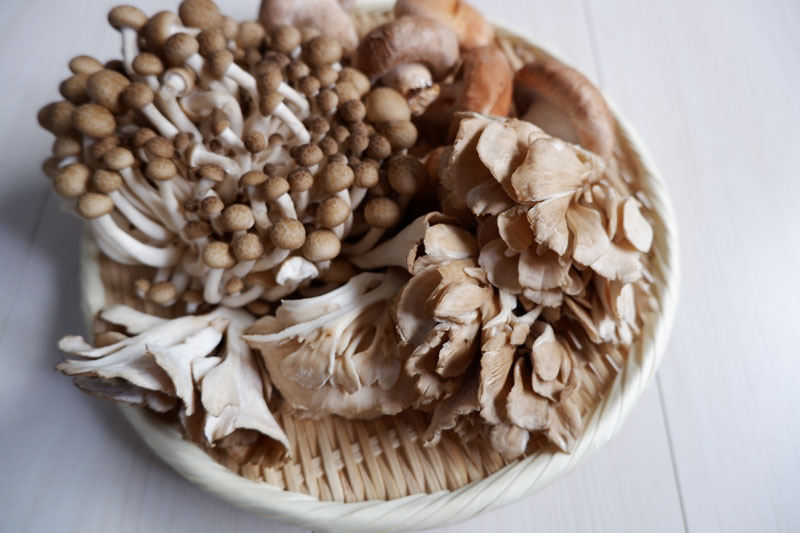 Qualifying functional mushroom suppliers across borders