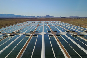 Qualitas announces partnerships with Grupo Indukern and Gullspång Re:food