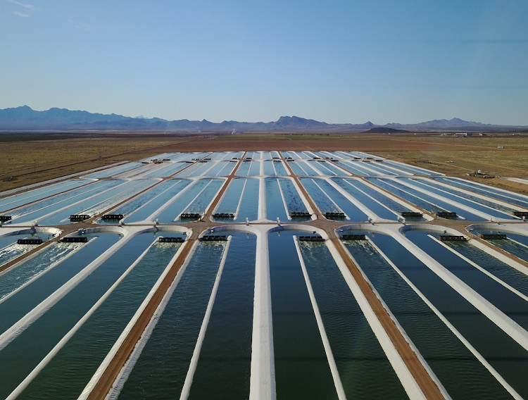 Qualitas announces partnerships with Grupo Indukern and Gullspång Re:food