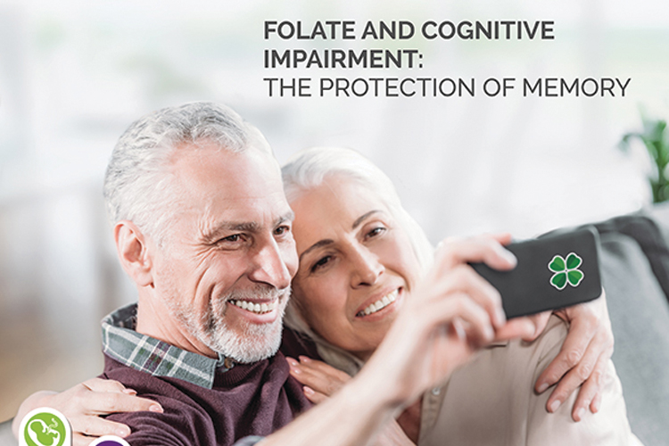 Quatrefolic and its multiple properties for the protection of
memory