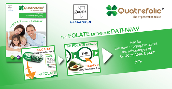 Quatrefolic and the folate metabolic pathway