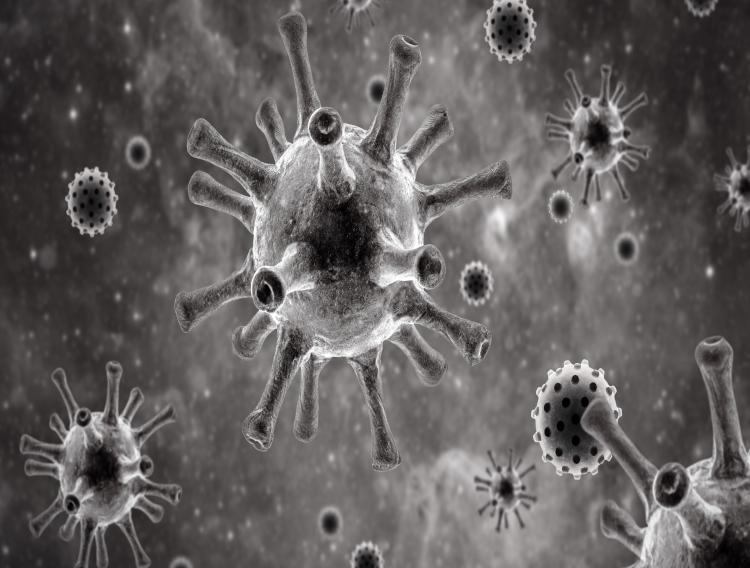 Quercetin may offer protection against symptomatic COVID