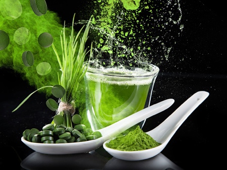 Quo vadis, algae?