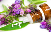 Rapid evaporation solutions for natural product extraction