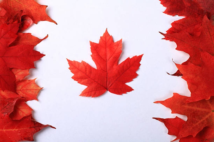 Relevium enters Canadian market choosing Bio V for manufacturing