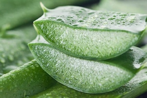 Relevium launches new Aloe Vera based products