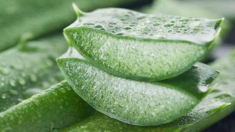 Relevium launches new Aloe Vera based products